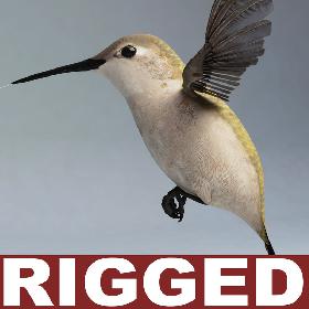 Hummingbird Rigged